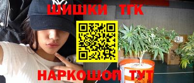 спиды Моздок