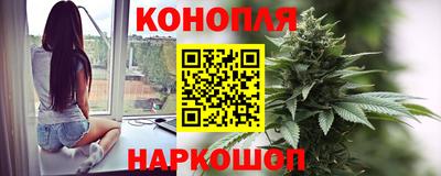 спиды Моздок