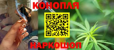 спиды Моздок