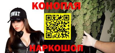 спиды Моздок