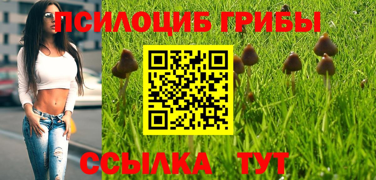 Галлюциногенные грибы ЛСД Шадринск