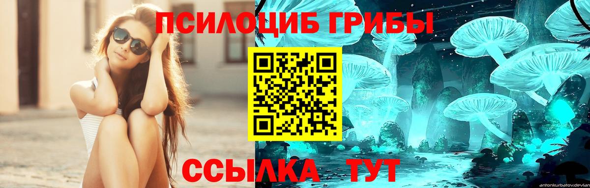 Галлюциногенные грибы прущие грибы  Галлюциногенные грибы Magic Shrooms  Вход с VPN  Шадринск 